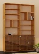 Bücherregal mit Glastüre